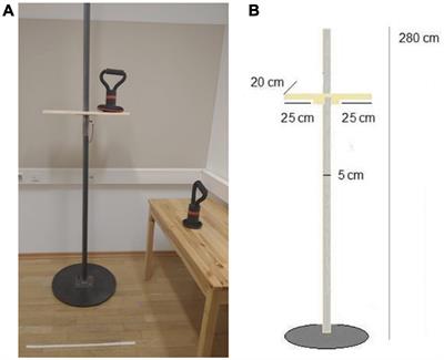 Task Construal Influences Estimations of the Environment